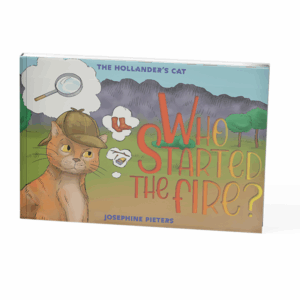 Who Started the Fire?